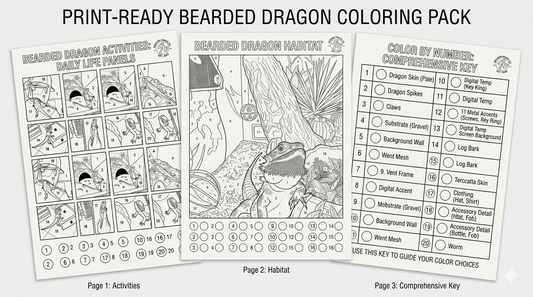 Bearded Dragon Coloring Book